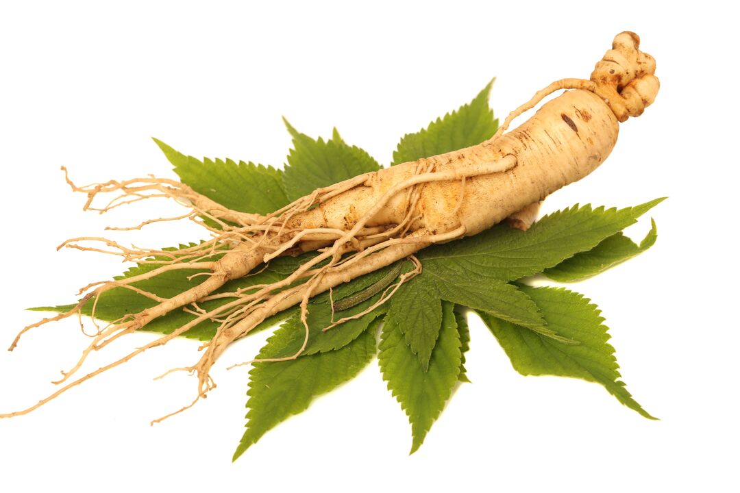 Ginseng - an element of Alfazone