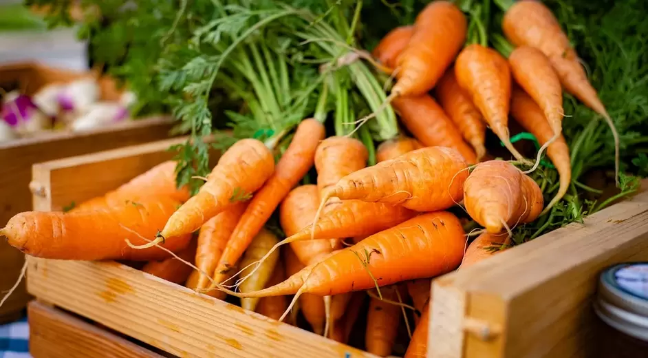 Carrots for potential