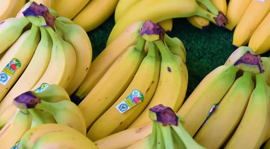 bananas for potential