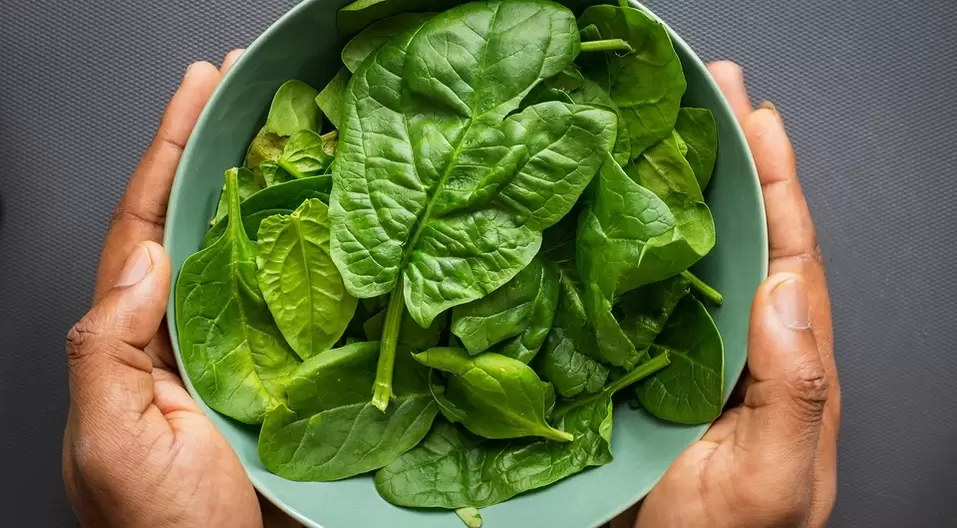 spinach for potential